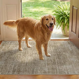 2x3 Area Rug Washable for Entryway: Throw Abstract Neutral Rugs TanBrown
