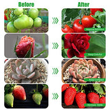 Grow Lights for Indoor Plants, Upgrade 84 LEDs Clip Plant Lights, Full Spectrum LED Plant Growing Lamps with Flexible Gooseneck, 3/9/12H Timer, 3 Spectral Modes, 10 Dimmable Levels (2 Head 1 Pack)