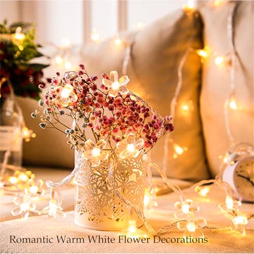 Indoor Plug in Decorative Fairy Flower String Lights, 33ft 100 LED Twinkle Cherry Blossom Floral Lamp for Bedroom Window Wall Ceiling Tree Hanging, Christmas Easter Birthday Decor (Warm White)