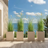 KOL 4ft Artificial Cattail Grass, 47.2in Artificial Indoor Outdoor Fake Onion Plant, Home Office Decor Floor Plants & Flowers in Pot Faux Plant Greenery, Housewarming Gift Reed Grass, Green
