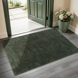 2x3 Washable Mat,Small EntryWay Rugs,Stainproof Non-Slip for Indoor Entranc