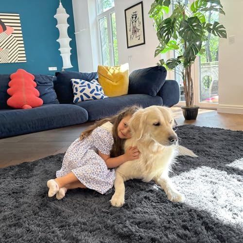 OLANLY Area Rugs for Living Room Bedroom, Machine Washable 4x5.9 ft Soft Fluffy Shaggy Bedside Rug, Indoor Floor Carpet for Kids Girls and Boys, Dorms, Nursery Rooms, Home Decor Aesthetic, Grey