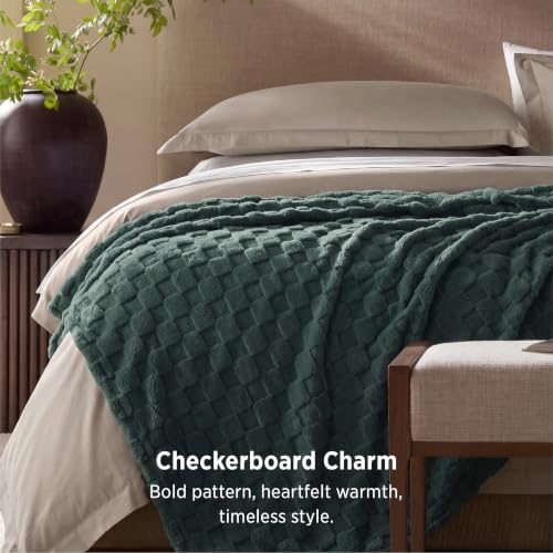 Bedsure Checkered Soft Cozy Queen Blanket for Bed, Green, 90"×90"