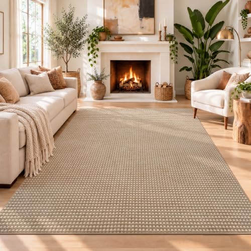 Washable Area Rugs 6x9 ft Non Slip Area Rug for Living Room Brown