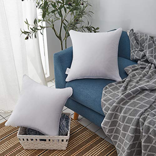 Oubonun 20 x 20 Throw Pillow Inserts (Set of 2) & 22 x 22 Pillow Inserts (Set of 2)