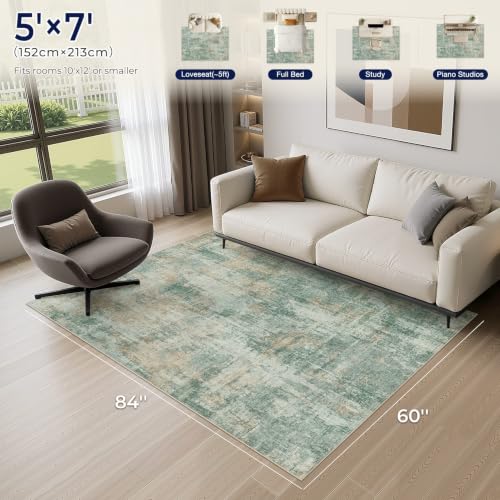 5x7 Area Rug for Living Room Washable Abstract Indoor Carpet