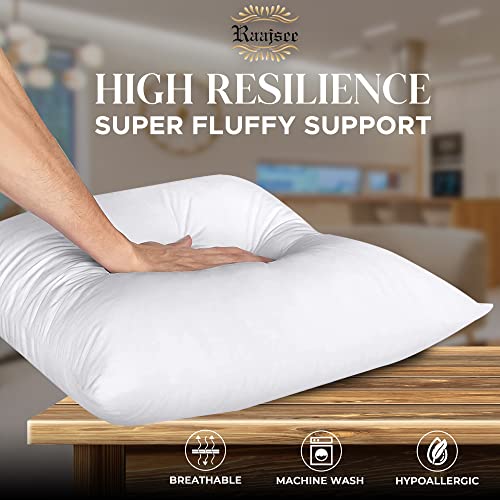 18x18 Pillow Inserts Set of 2 , Soft Hypoallergenic Down Alternative Throw Pillow Inserts 18 X 18 , Throw Pillows for Couch, Sofa Pillow Filling Stuffing for Decorative Covers, Pillow Forms 18x18