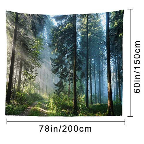 Llamazing Forest Tapestry Home Decor Landscape Living Room Bedroom Decoration Magic Tapestry Curtain (Morning Forest, 78''L×60''W)