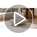 MIULEE 26x26 Inch Euro Pillows Inserts, Pack of 2 Down Alternative Virgin Filling Comfy Support Throw Pillows for Sofa Couch Bed