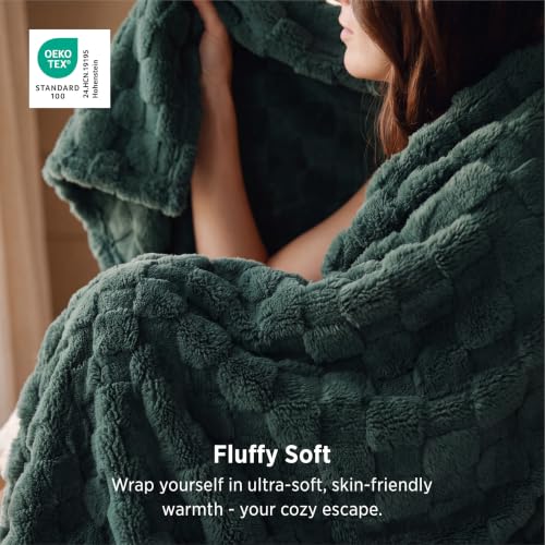 Bedsure Checkered Soft Cozy Queen Blanket for Bed, Green, 90"×90"