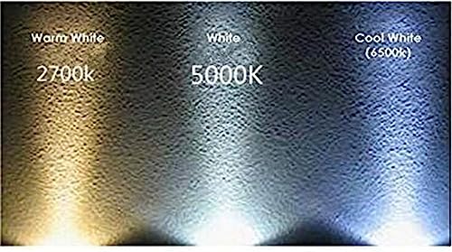 (6-Pack) Dimmable 3-Watt =30-40W T4 GY6.35 LED Bulb 12-24V AC/DC, 20 SMD 2835 LED, (Jc10 Bi-pin 30-40w Replacement) (Warm White,2700K)