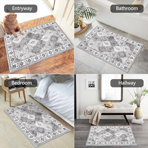 HEBE Indoor Door Mat 2'x3', Washable Welcome Mat for Front Door Entrance