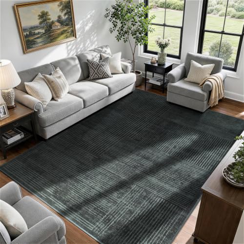 6x9 Washable Area Rug, Checkered Rug for Living Room(6x9,Black-L)