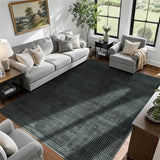 6x9 Washable Area Rug, Checkered Rug for Living Room(6x9,Black-L)