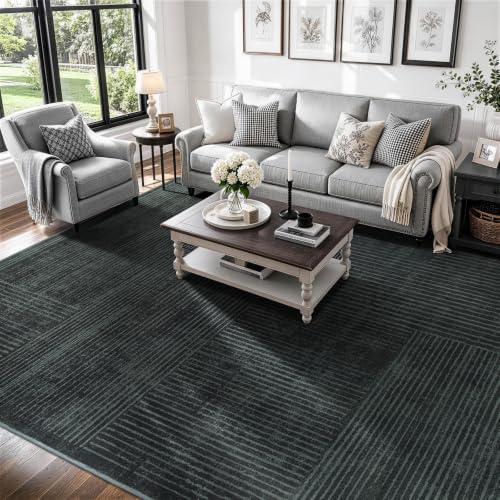 8x10 Washable Area Rug, Checkered Rug for Living Room(8x10,Black-L)
