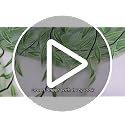 Ufurty 2 Pieces Willow Window Curtain Voile Tulle Room Salix Leaf Sheer Gauze Panel Drapes Green Color for Living Room, Bedroom, Balcony
