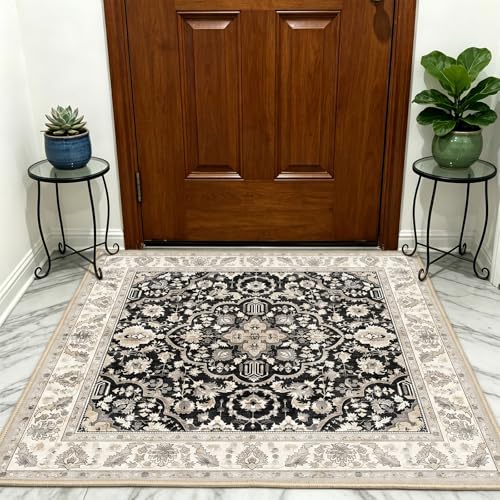 4x4 Square Washable Area Rug: Low Pile Non Slip Rugs Soft Barefoot Floor Mat for Under Desk Play Area Big Entryway Living Room and Apartment Decor Black Beige