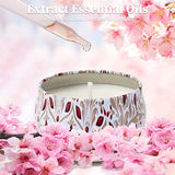 Aromatherapy Candles for Home Scented 2 Pack 2.5 oz Natural Floral Cherry and Vanilla Candles Set, Stress Relief Candles Gifts for Women, Portable Mini Candles Gift for Christmas, Birthday