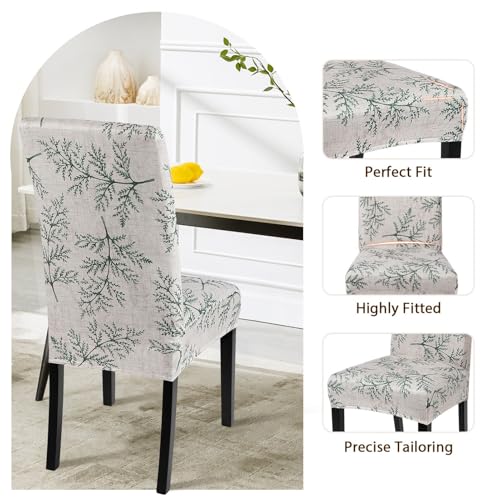SearchI Printed Dining Room Chair Covers Set of 4, Stretch Kitchen Chair Covers Washable Parsons Chair Slipcover Removable Dining Chair Protectors for Hotel,Ceremony(Fern Leaves)
