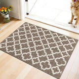 Indoor Door Mat 2×3 ft, Non-Slip Washable Doormats, Brown