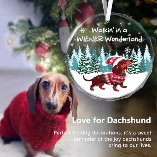 Christmas Ornaments 2025 - Dachshund Christmas Decorations Weiner Dog Decor Dachshund Gifts for Women Glass Christmas Dachshund Ornament with Box