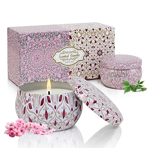 Aromatherapy Candles for Home Scented 2 Pack 2.5 oz Natural Floral Cherry and Vanilla Candles Set, Stress Relief Candles Gifts for Women, Portable Mini Candles Gift for Christmas, Birthday