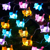 Cat Décor Cute Indoor String Light Fairy Lights Plug in Decorative Lights 10ft 30LED Battery Operated or USB for Bedroom Kids Tent Camping Christmas Tree Ornaments