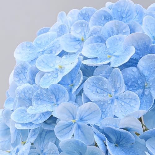 MARTINE MALL 3Pcs 21in Hydrangea Artificial Flowers, Latex Real Touch Hydrangeas Lifelike Large Hydrangea Flowers for Home Decor Party Arrangements Wedding Bouquets Centerpieces (Blue)