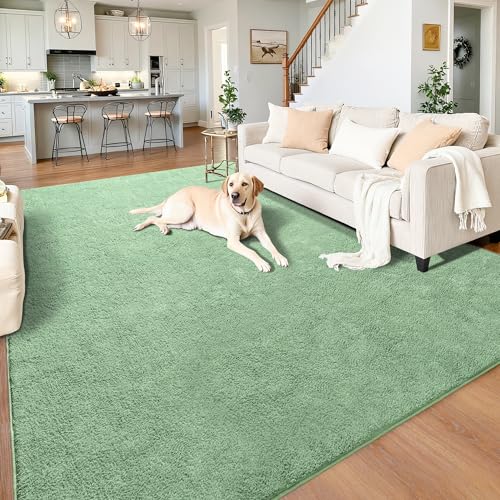 Green 5x7 Minimalist Washable Area Rugs for Bedroom Living Room