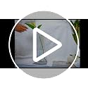 Aoderun Flower Vase for Decor 10" Clear Glass Vase for Centerpieces Large Vases for Flowers Dried Flower Home Decor Living Room Kitchen Office Wedding(Clear)