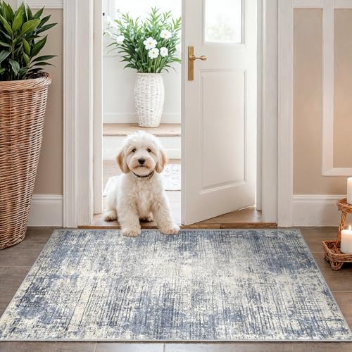 Washable Entryway 2x3 Area Rug: Small Abstract Kitchen Rugs for Indoor Bathroom Entrance Non Slip Door Mat with Rubber Backing Ultra Thin Soft Carpet for Bedroom Pet Feeding Area (Blue Gray,2x3)
