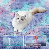 Area Rug Living Room Bedroom: 4x6 Fluffy Plush Shag Carpet Rainbow