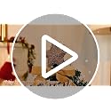 Livole 2 FT Small Christmas Tree, Mini Christmas Tree with Lights, Mini Tabletop Full Xmas Trees with 35 PCS Pink Ornaments, Merry Christmas, Xmas Tree for Table DIY Christmas Decor