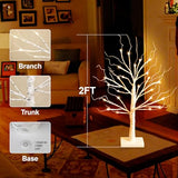 White Birch Tree with LED Lights, Lighted Birch Tree for Tabletop, USB/Battery Operated 24 LED Warm White Tree, 2FT Mini Christmas Tree Decor for Indoor Home Christmas Decorations (2 Pack, Timer)
