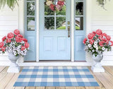Light Blue and White Outdoor Rug 2'X4.3' Buffalo Plaid Checked Front Porch Rug Cotton Woven Washable Rug Layering Doormat for Welcome Door Mat Entryway Dining Room Bedroom Living Room