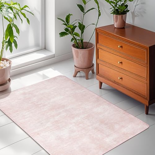 2x3 Washable Mat,Small EntryWay Rugs,Stainproof Non-Slip for Indoor Entranc