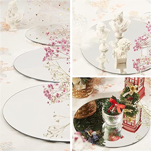 8 inch Glass Round Mirror Circle Wall Mounted for Bathroom, Living Room, Home Decor, Small Round Mirror Plate Trays for Wedding Table Centerpieces