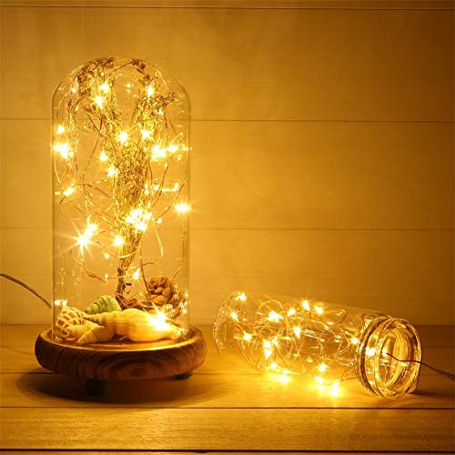 with Timer Function Battery Operated Dewdrop Led Lights,Mini Fairy Lights for Home Parties Christmas/Halloween Holiday Decoration,6 Hours on/18 Hours Off,30 LEDs,10 Feet (Warm White, 1)
