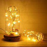with Timer Function Battery Operated Dewdrop Led Lights,Mini Fairy Lights for Home Parties Christmas/Halloween Holiday Decoration,6 Hours on/18 Hours Off,30 LEDs,10 Feet (Warm White, 1)