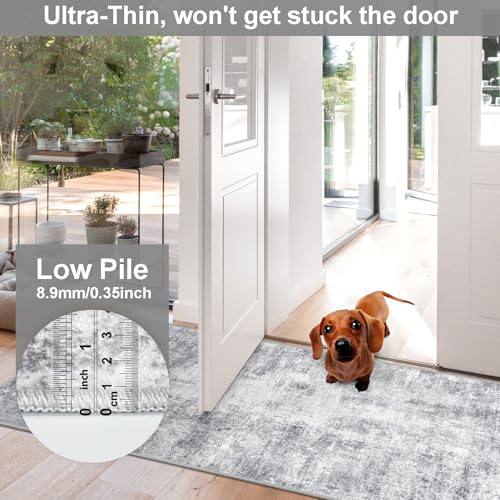 2x10 Washable Runner Rug,Non-Slip Hallway Runner Rug for Kitchen