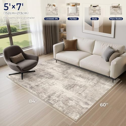 5x7 Area Rug for Living Room Washable Abstract Indoor Carpet