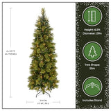 National Tree Company 6.5 ft Pre-Lit Carolina Pine Slim Artificial Christmas Tree, 350 Clear Lights, 516 Tips, Includes Stand, Green