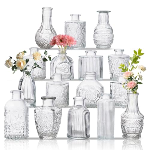 Glass Bud Vase Set of 16, Small Flower Vases, Glass Vases for Centerpieces, Vintage Home Table Decorations Bud Vases (16 Pcs, Clear)
