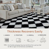 HUGEAR Checkered Rug 5x8 Living Room Black White Modern Shag Rug Soft Fluffy Washable Indoor Carpet Fuzzy Vacuumable Rugs for Bedroom Home Decor Non Slip