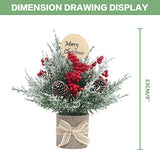 JIALEIXI 2PCS Small Christmas Tree,Tabletop Mini Xmas Tree,9" Artificial Little Potted for Christmas Decor,Suitable for Weddings, Holidays, Christmas and Other Festivals.(Red/Green)