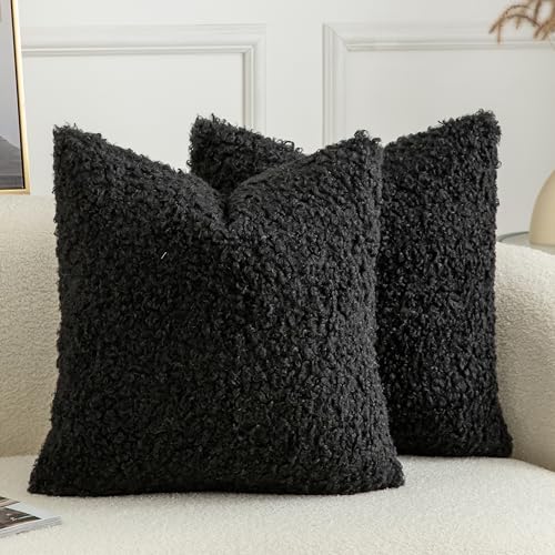 Pack of 2 Curly Teddy Wool Faux Fur Throw Pillow Covers Fuzzy Accent Soft Sherpa Pillowcases Sheepskin Fleece Decorative Cushion Case for Sofa Couch Living Room 18x18 Inch Black