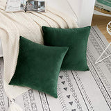 RainRoad Dark Green Decorative Throw Pillow Covers Cushion Cover Pillow Case for Sofa Couch Bed Chair,Soft Square Dark Green Throw Pillows 18x18 Inch,Set of 2