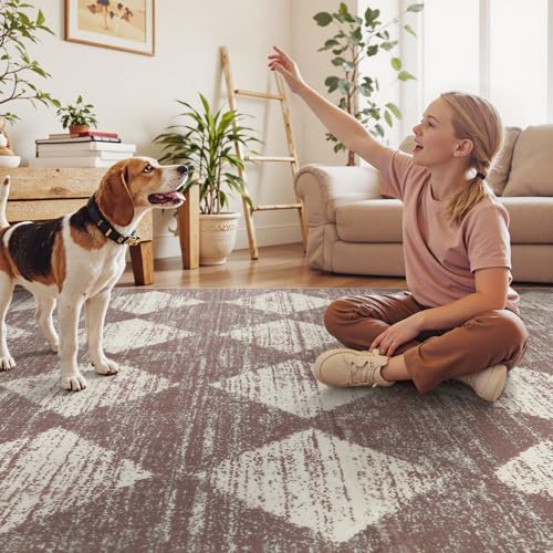 Lahome Checkered 6x9 Area Rug Beige Machine Washable Non Slip Living Room