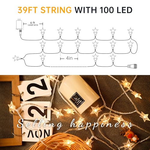 HEYFUNi Warm White Star String Lights,39FT 100LED Plug in Fairy Twinkle Lights with 8 Modes Waterproof for Indoor Christmas Tree, Home, Girls'Room, Garden, Party, Wedding, Classroom Decor(Warm White)