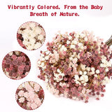 N&T NIETING Baby Breath Flowers Artificial Bulk, 10Pcs Fake Gypsophila Plants Bouquets Flowers Real Touch Faux Babies Breath Arrangement for Home Wedding Party Vase Decoration Fall Pink